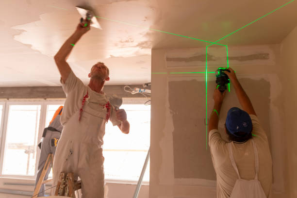 Best Water-Damaged Drywall Repair  in Danvers, IL