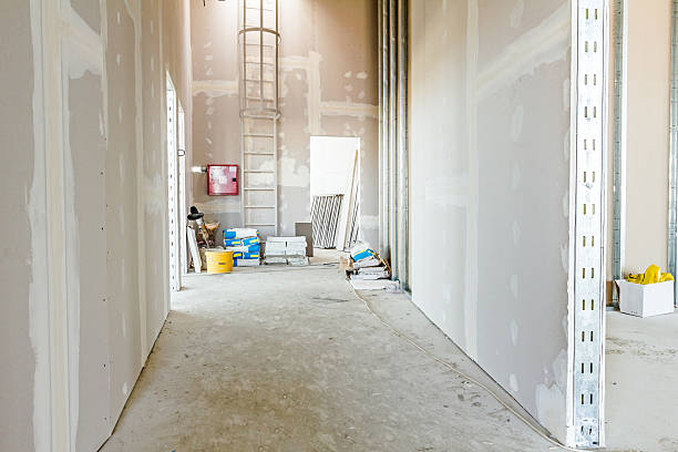 Best Drywall Sanding and Smoothing  in Danvers, IL